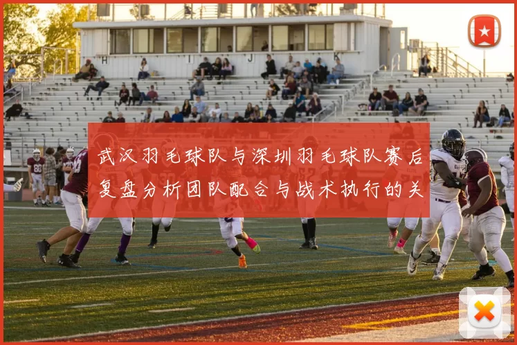 武汉羽毛球队与深圳羽毛球队赛后复盘分析团队配合与战术执行的关键因素